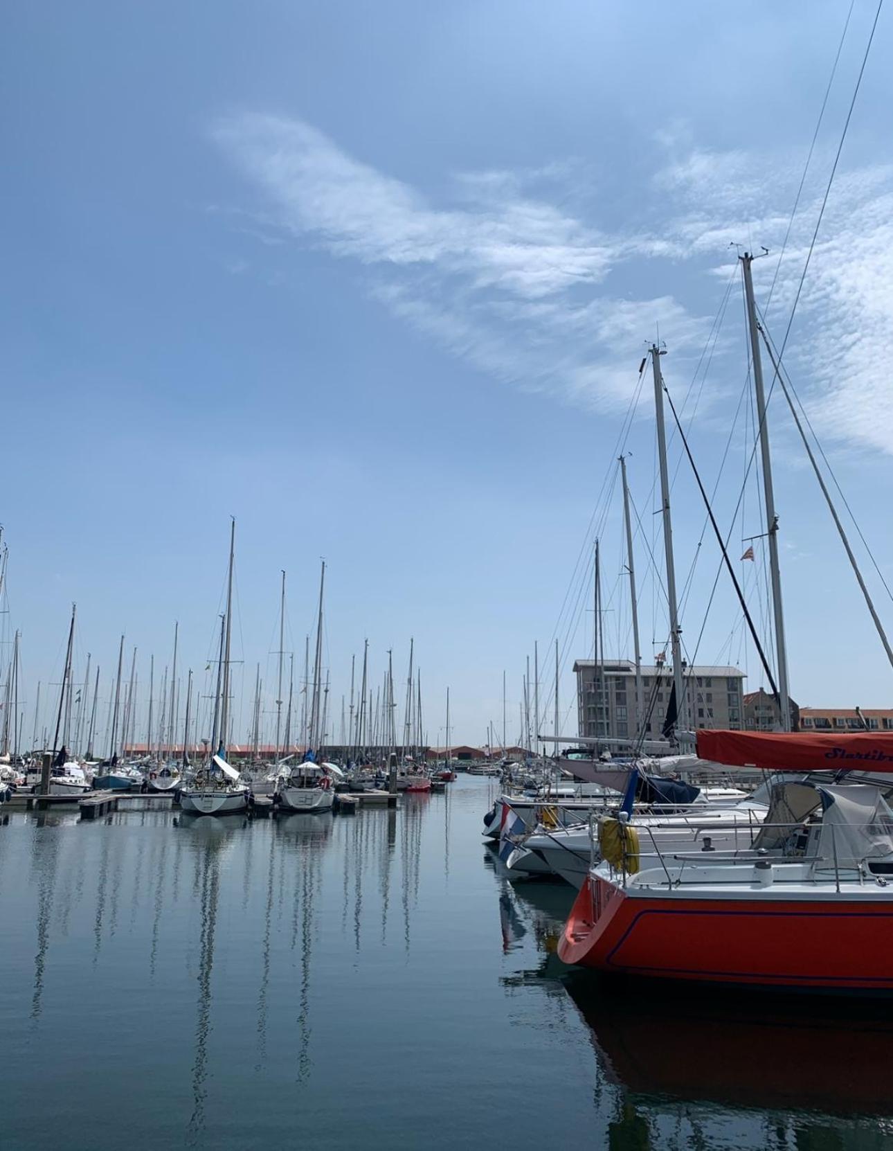 Vakantiewoning De Bosrand Aan Zee Sint-Annaland Extérieur photo